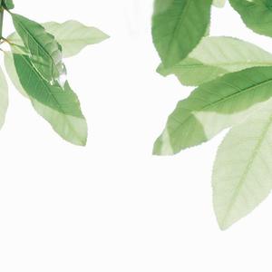 骚逼被我操流水
