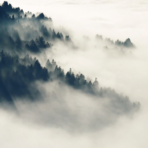 骚逼被我操流水
